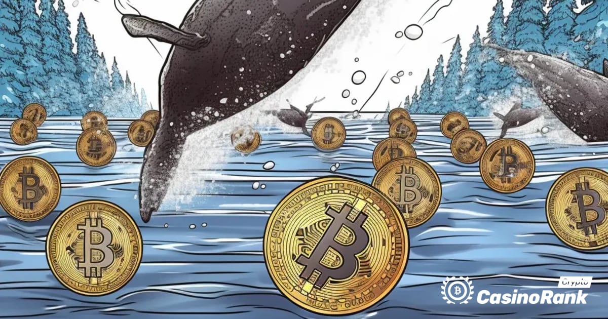 Переміщення Whale на ринку криптовалют: передані токени MATIC і SOL